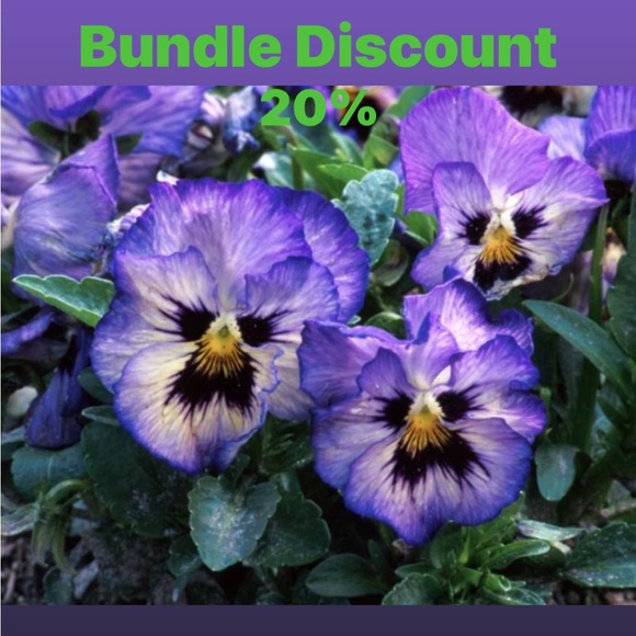 Bundle Discount - Picture 3 of 5
